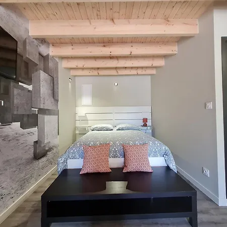 Renove Avec Mezzanine, Cour Privative Et Parking A - Fr-1-426-479 Feriehus Rochetrejoux