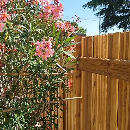 Feriehus Renove Avec Mezzanine, Cour Privative Et Parking A - Fr-1-426-479 *