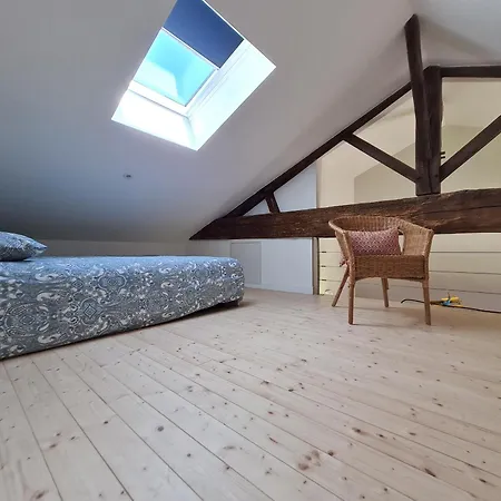 Renove Avec Mezzanine, Cour Privative Et Parking A - Fr-1-426-479 Feriehus Rochetrejoux