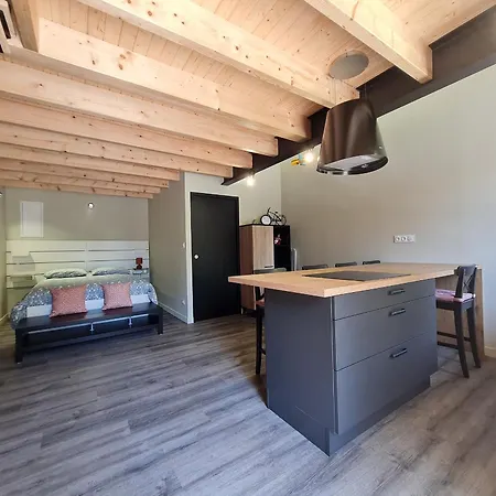 Renove Avec Mezzanine, Cour Privative Et Parking A - Fr-1-426-479