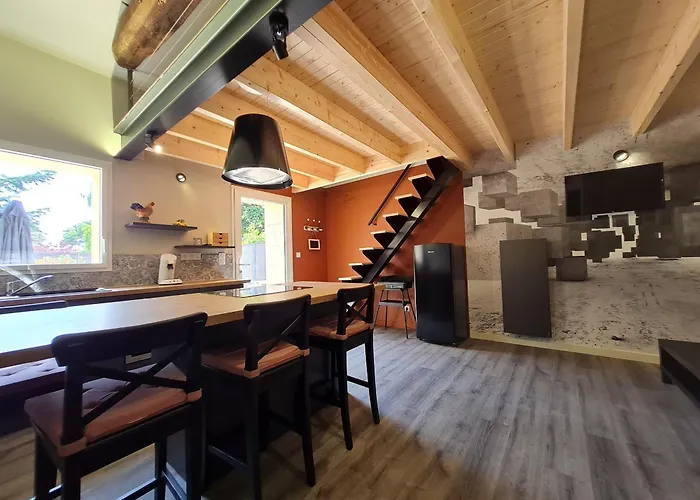 Renove Avec Mezzanine, Cour Privative Et Parking A - Fr-1-426-479 Semesterbostad Rochetrejoux