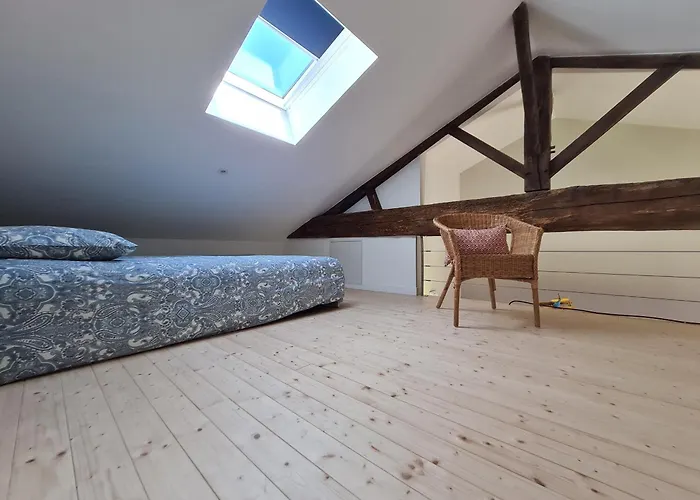 Renove Avec Mezzanine, Cour Privative Et Parking A - Fr-1-426-479 Semesterbostad Rochetrejoux