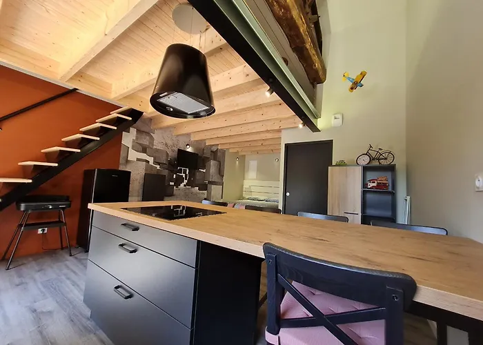 Semesterbostad Renove Avec Mezzanine, Cour Privative Et Parking A - Fr-1-426-479 Rochetrejoux