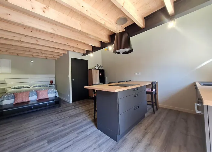 Renove Avec Mezzanine, Cour Privative Et Parking A - Fr-1-426-479