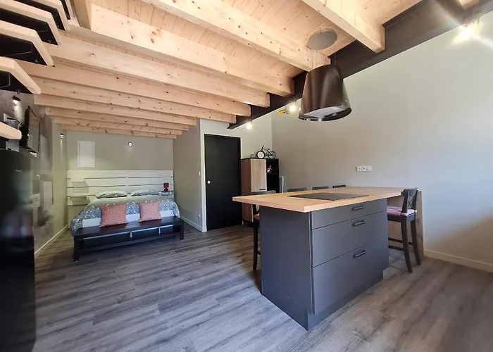 Renove Avec Mezzanine, Cour Privative Et Parking A - Fr-1-426-479